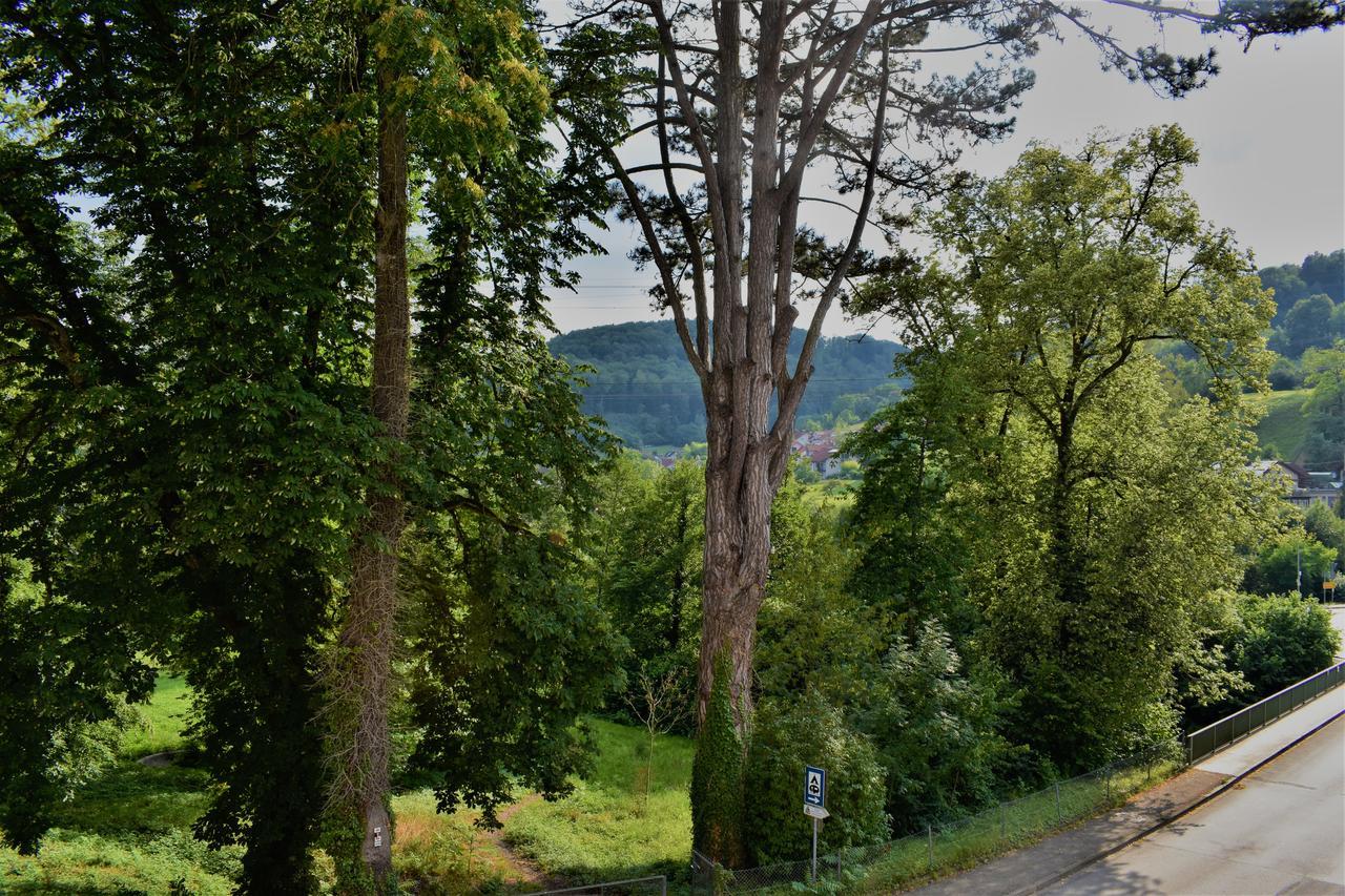 Bad Bruckhaus Erlebnishotel Waldshut-Tiengen Esterno foto